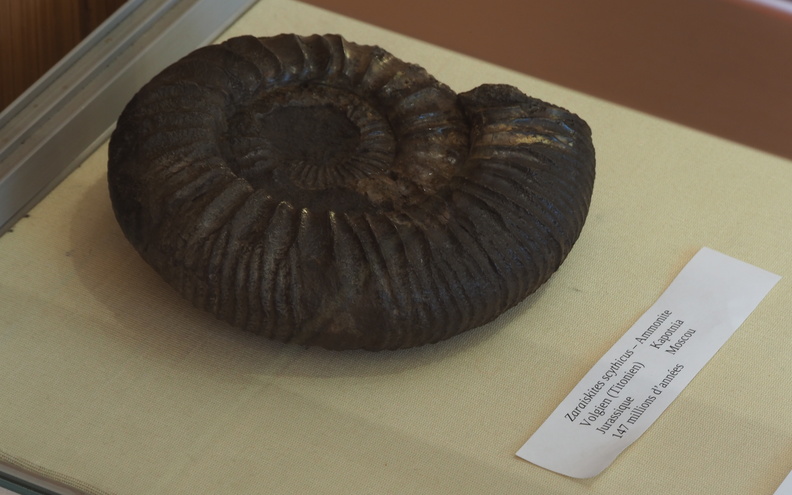 Paleontology LSG Lab exposition