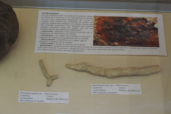 Paleontology LSG Lab exposition