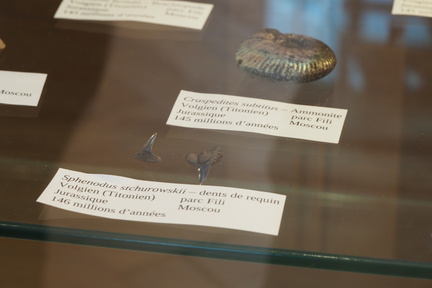 LSG Lab exposition. Geneva, 25.05.2024.