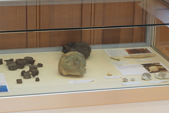 Paleontology LSG Lab exposition