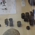 Ichthyosaur forelimb at the LSG Lab exposition. Geneva, 25.05.2024.