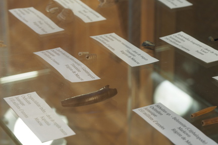 LSG Lab exposition. Geneva, 25.05.2024.