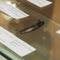 Plesiosaur tooth at the LSG Lab exposition. Geneva, 25.05.2024.