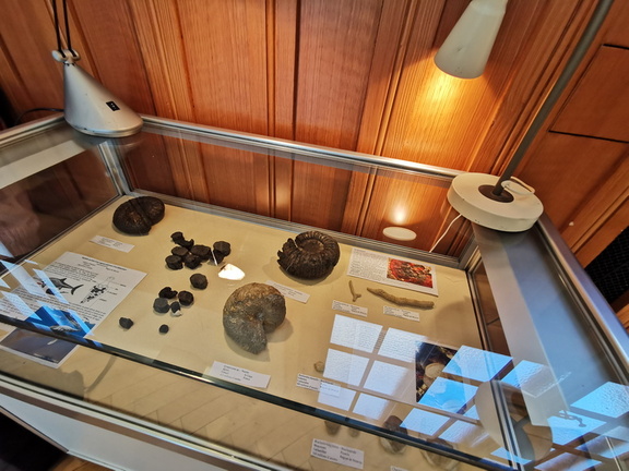 Paleontology LSG Lab exposition