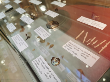 LSG Lab exposition. Geneva, 25.05.2024.