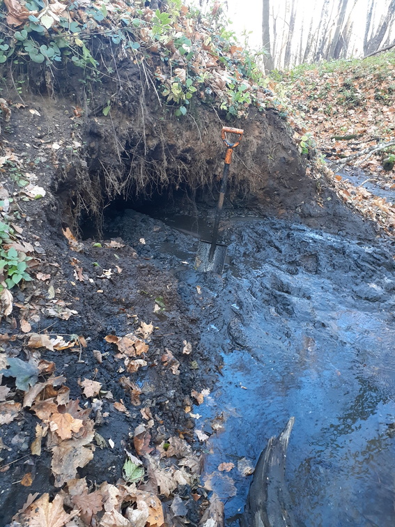 Fili dents de requins