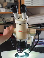 Micropaléontologie